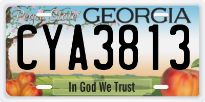 GA license plate CYA3813