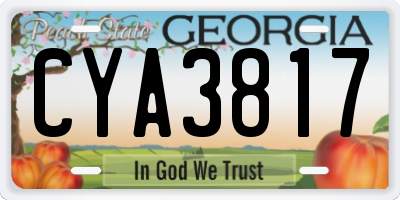 GA license plate CYA3817