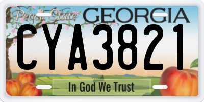 GA license plate CYA3821
