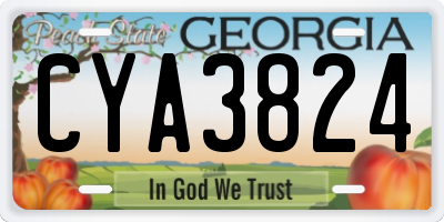 GA license plate CYA3824