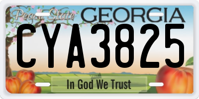 GA license plate CYA3825