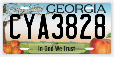 GA license plate CYA3828