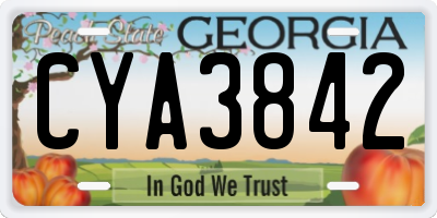 GA license plate CYA3842