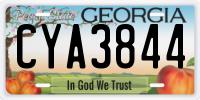 GA license plate CYA3844