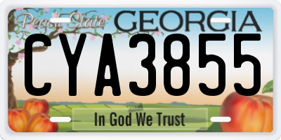 GA license plate CYA3855