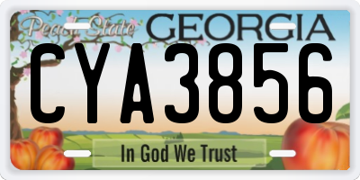 GA license plate CYA3856