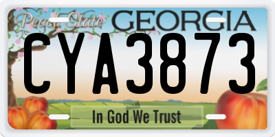 GA license plate CYA3873
