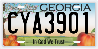 GA license plate CYA3901