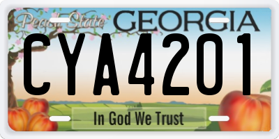 GA license plate CYA4201