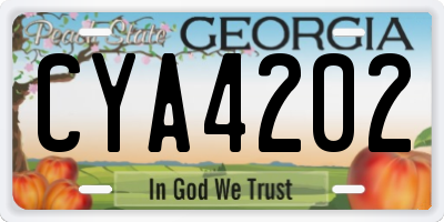 GA license plate CYA4202
