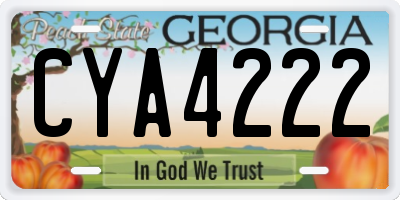 GA license plate CYA4222