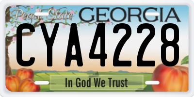 GA license plate CYA4228