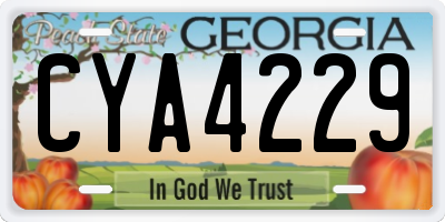 GA license plate CYA4229