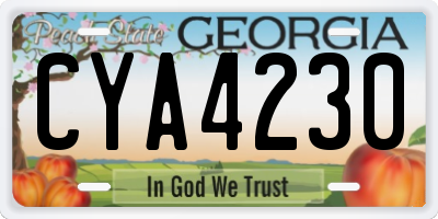 GA license plate CYA4230
