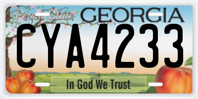 GA license plate CYA4233