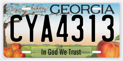 GA license plate CYA4313