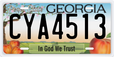 GA license plate CYA4513