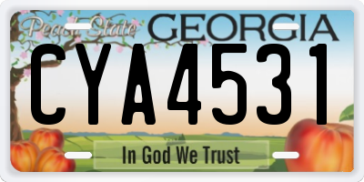 GA license plate CYA4531