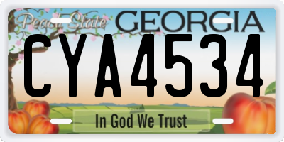 GA license plate CYA4534