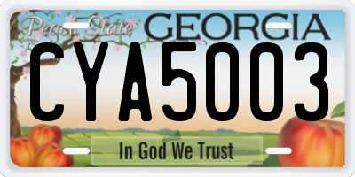 GA license plate CYA5003
