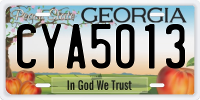 GA license plate CYA5013