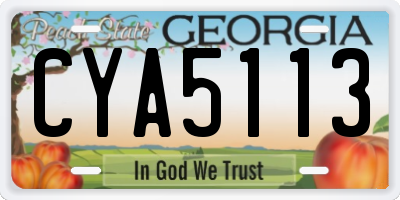 GA license plate CYA5113