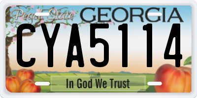 GA license plate CYA5114