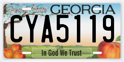 GA license plate CYA5119