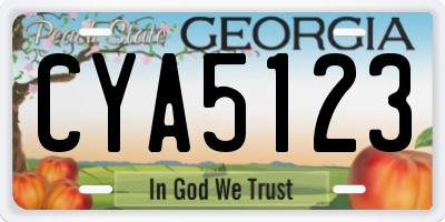 GA license plate CYA5123