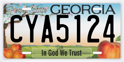 GA license plate CYA5124