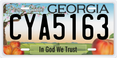 GA license plate CYA5163