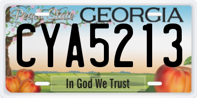 GA license plate CYA5213