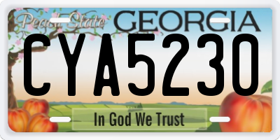 GA license plate CYA5230