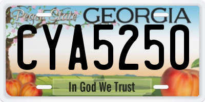 GA license plate CYA5250
