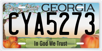 GA license plate CYA5273
