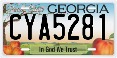 GA license plate CYA5281