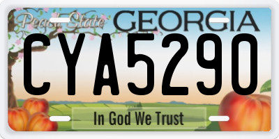 GA license plate CYA5290
