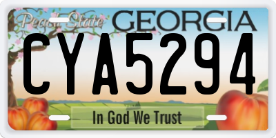 GA license plate CYA5294