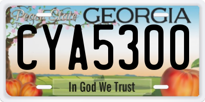 GA license plate CYA5300