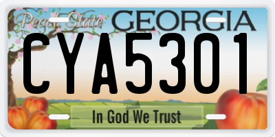 GA license plate CYA5301