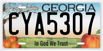 GA license plate CYA5307