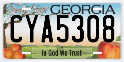 GA license plate CYA5308