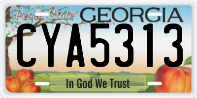 GA license plate CYA5313