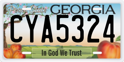 GA license plate CYA5324