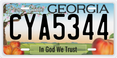 GA license plate CYA5344