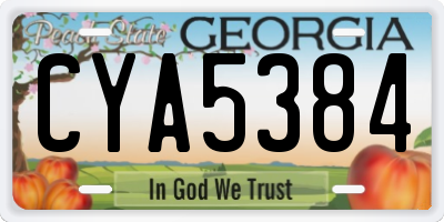 GA license plate CYA5384