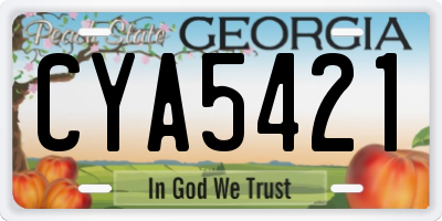GA license plate CYA5421