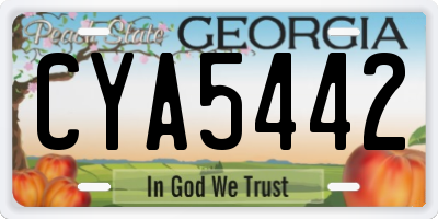 GA license plate CYA5442