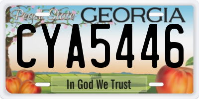 GA license plate CYA5446
