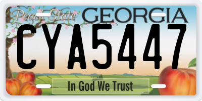 GA license plate CYA5447